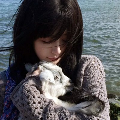 海蜇