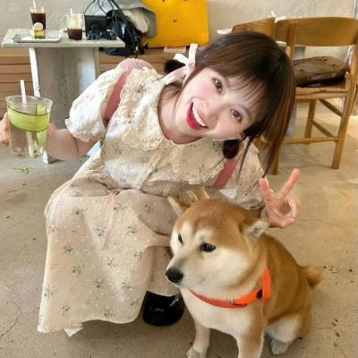 大内密探灵灵狗