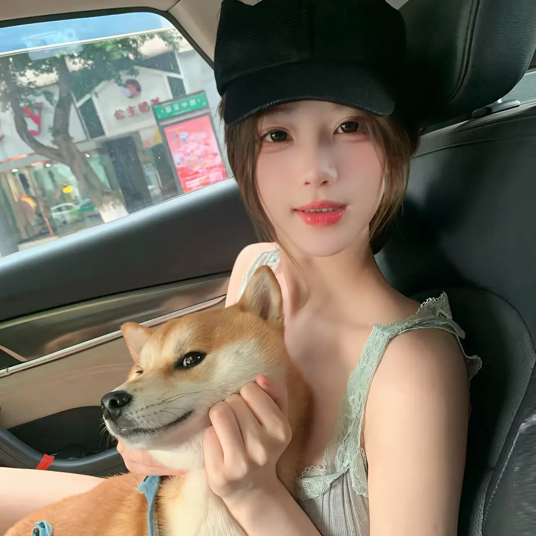 怪盗与剑